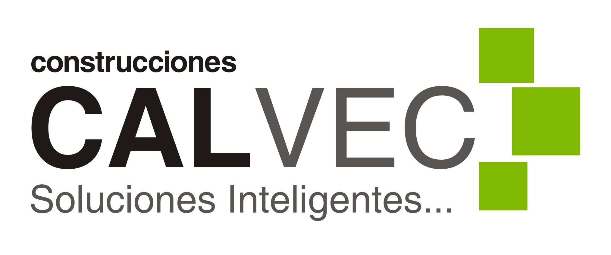 CALVEC Logo